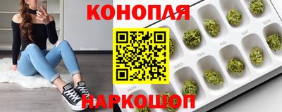 гашик Лесосибирск