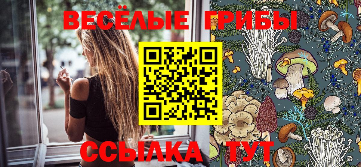 Домодедово  Псилоцибиновые грибы Psilocybine cubensis  Псилоцибиновые грибы мухоморы  Вход с VPN 