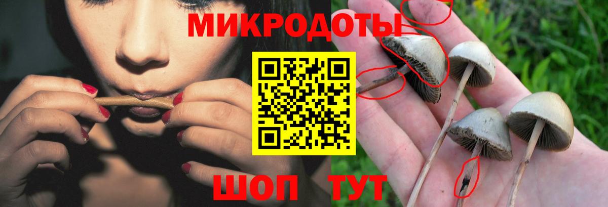 Галлюциногенные грибы ЛСД Домодедово